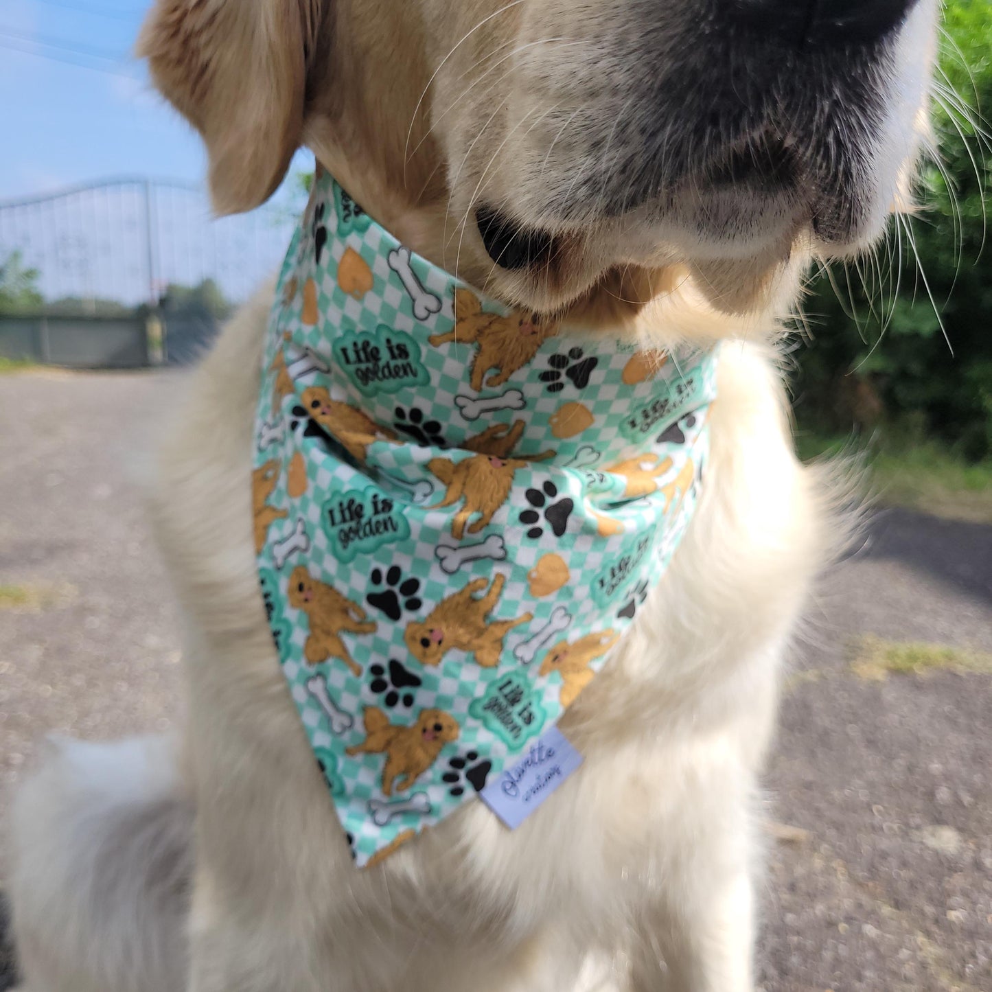 Bandana élastique - motif golden retriever à damier vert et blanc