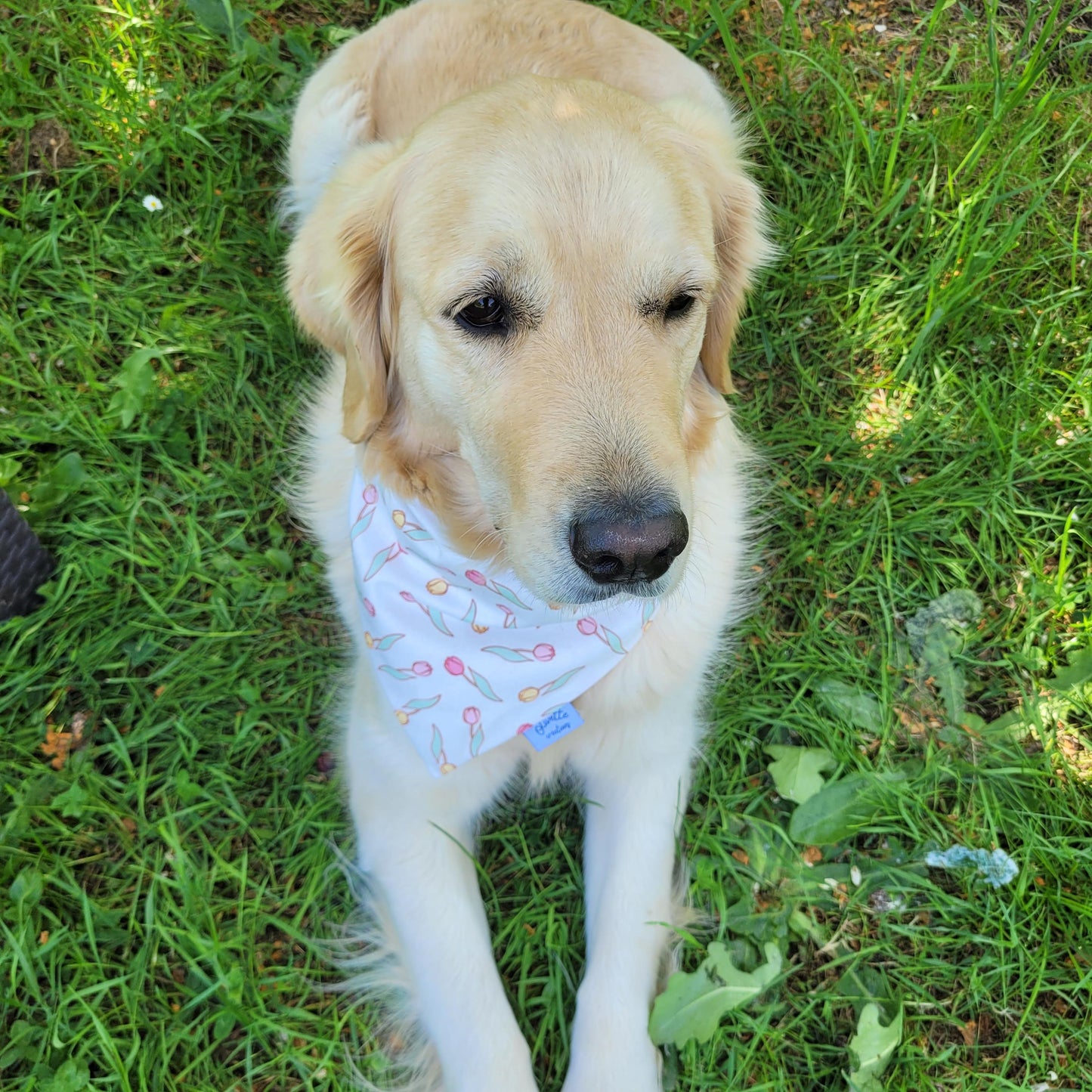 Bandana - motif tulipes