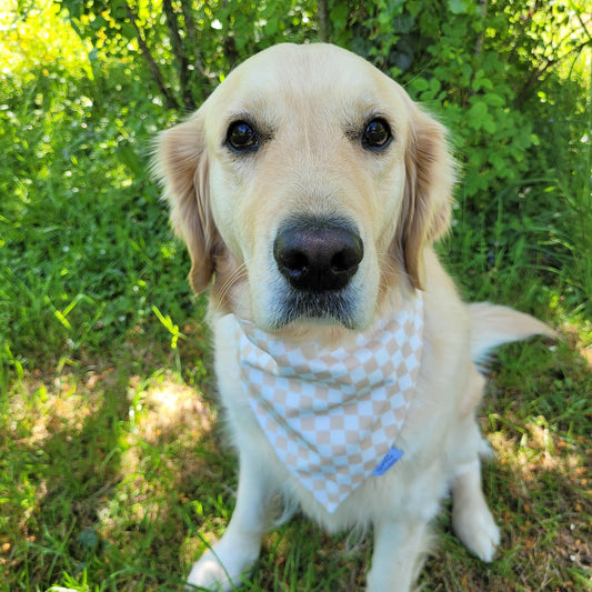 Bandana élastique - motif damier crème