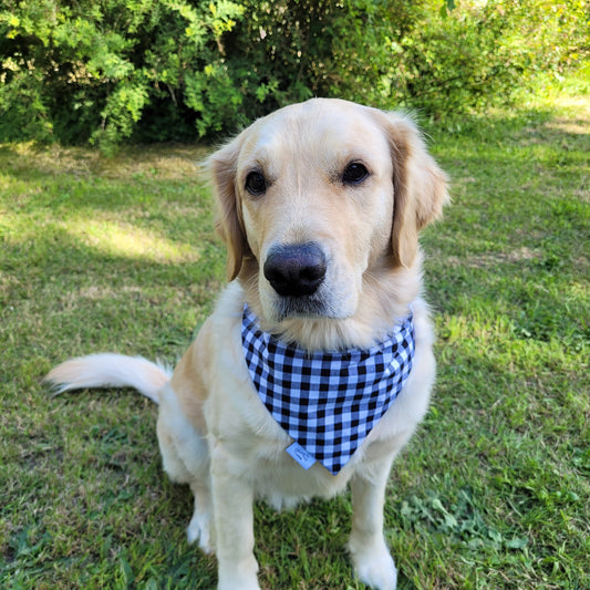 Bandana élastique - vichy noir