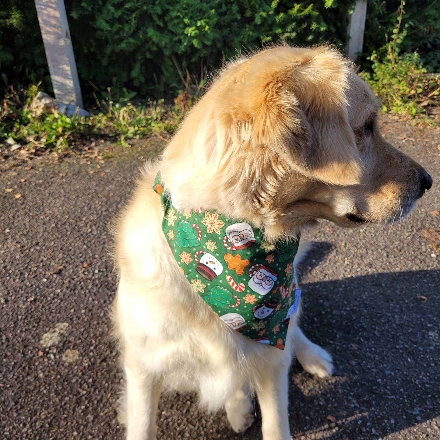 Bandana élastique - motif mugs de Noël fond vert