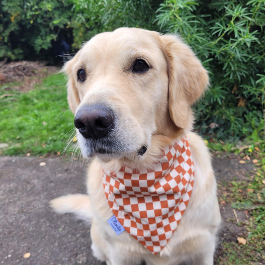 Bandana élastique - motif à damier marron et blanc