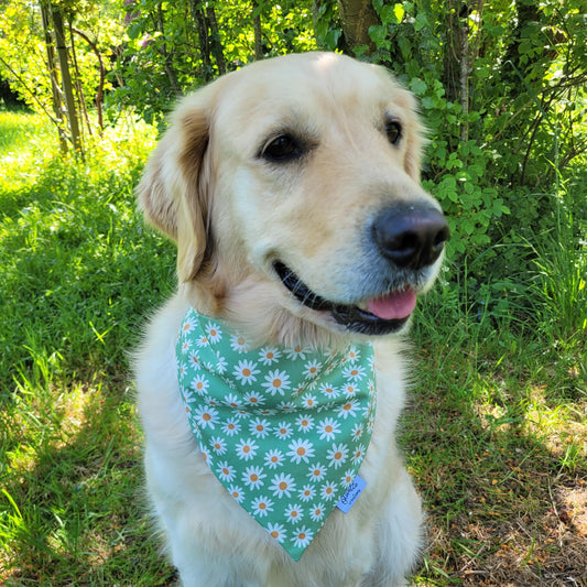 Bandana élastique - motif marguerite verte