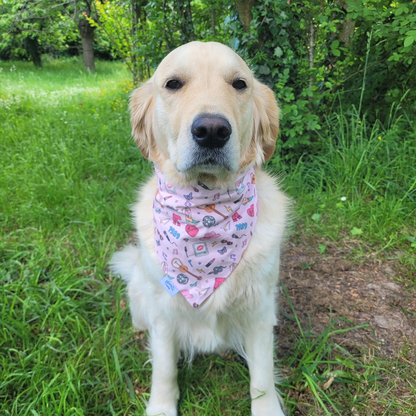 Bandana élastique - motif Taylor Swift Eras Tour rose