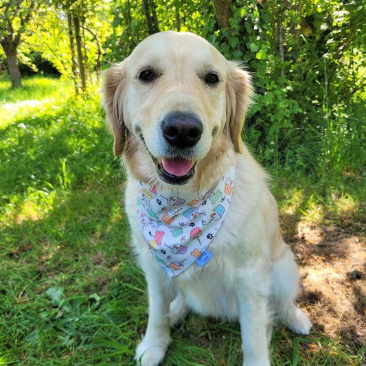 Bandana élastique HAPPY BIRTHDAY