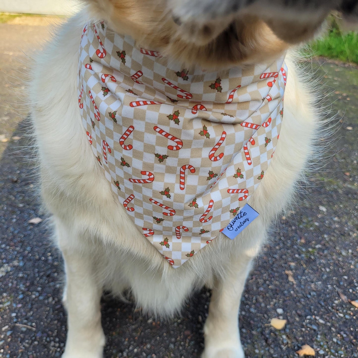 Bandana élastique - motif candy cane/ sucre d'orge Noël