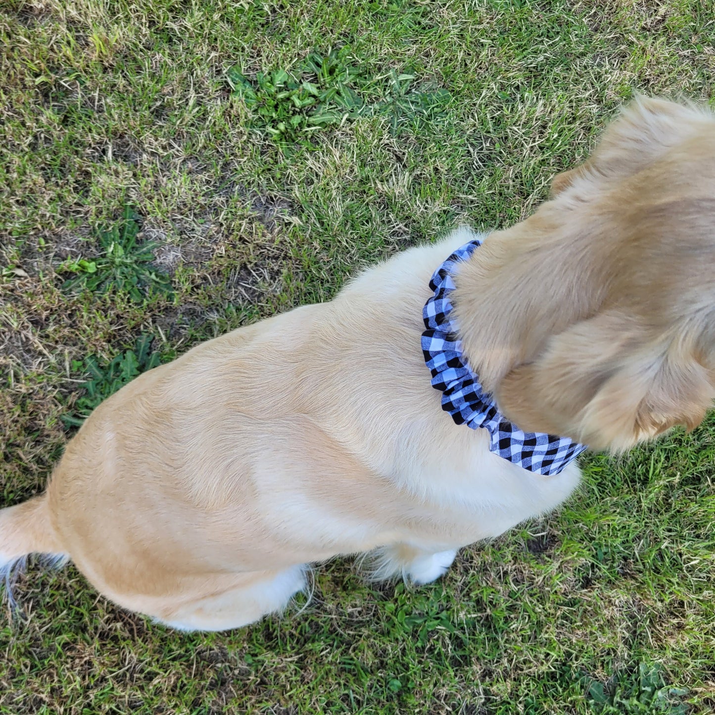 Bandana élastique - vichy noir