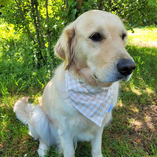 Bandana élastique - motif damier crème