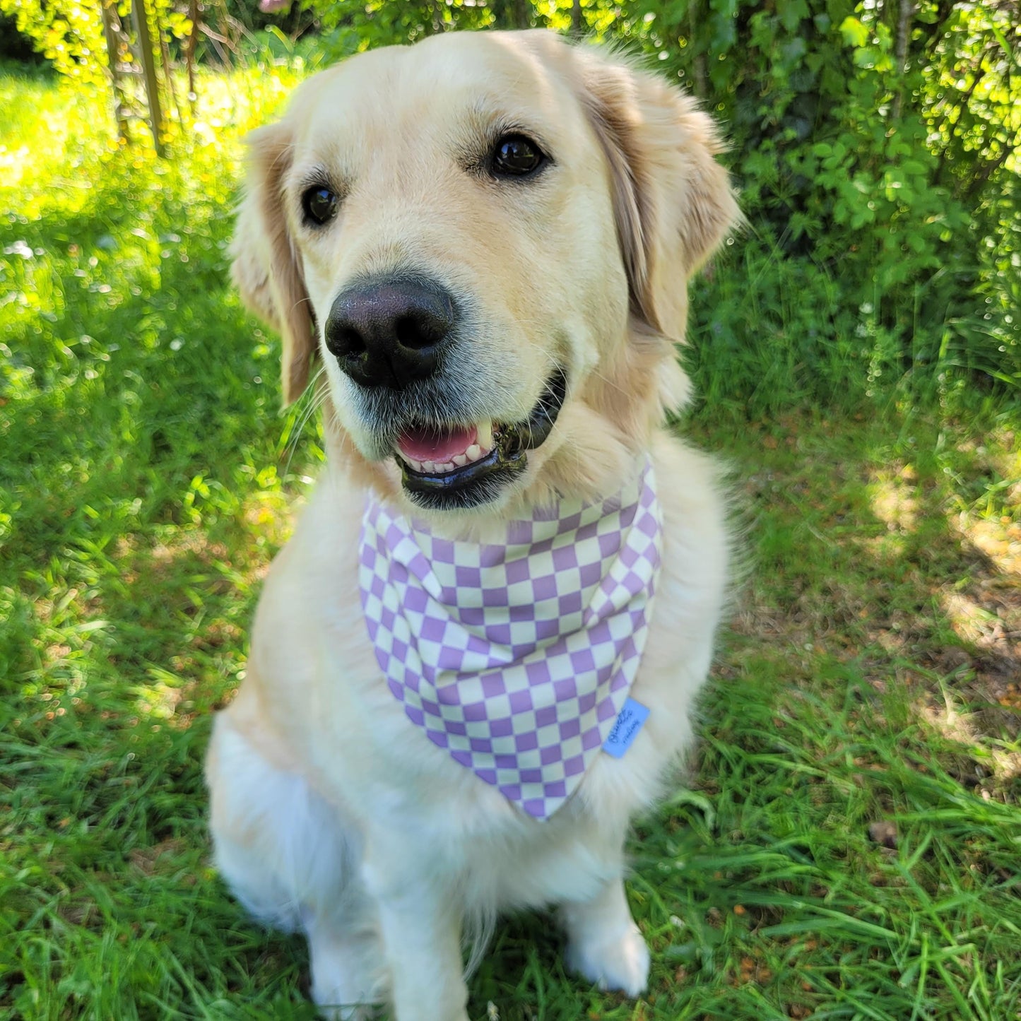 Bandana élastique - motif damier lilas