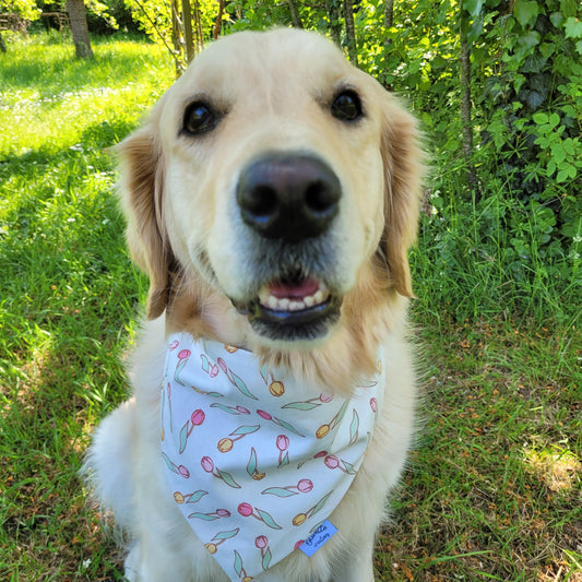 Bandana - motif tulipes