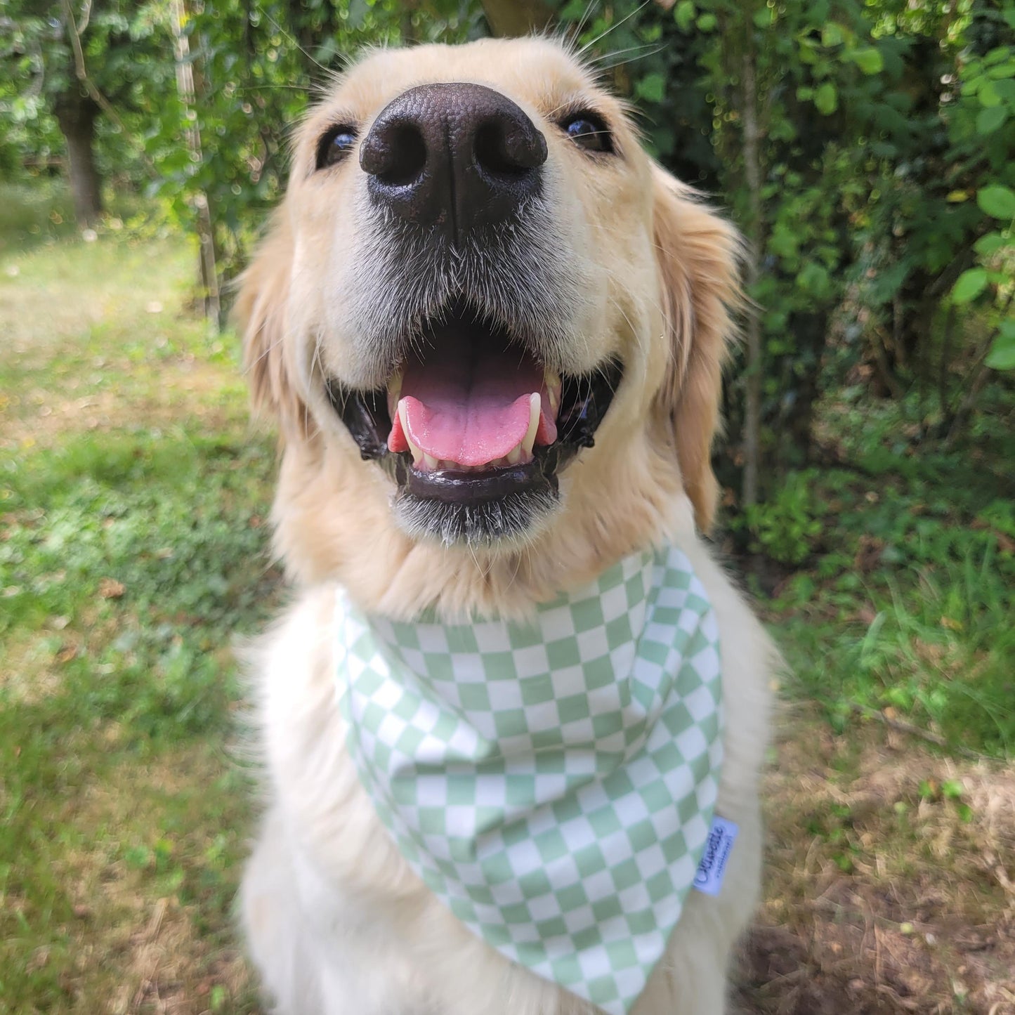 Bandana élastique - motif à damier vert sauge