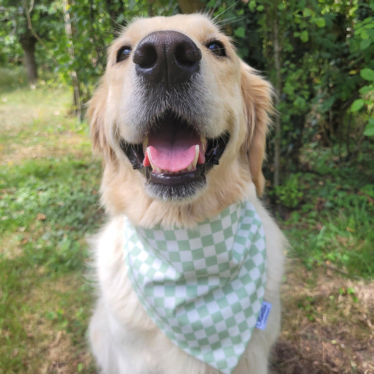 Bandana élastique - motif à damier vert sauge