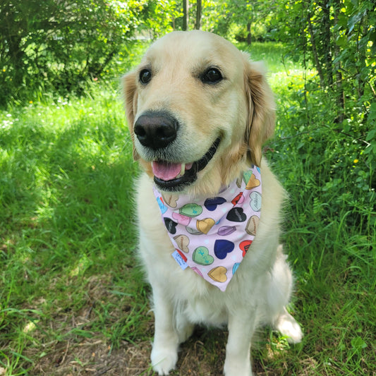 Bandana élastique Taylor Swift Eras Tour COEUR