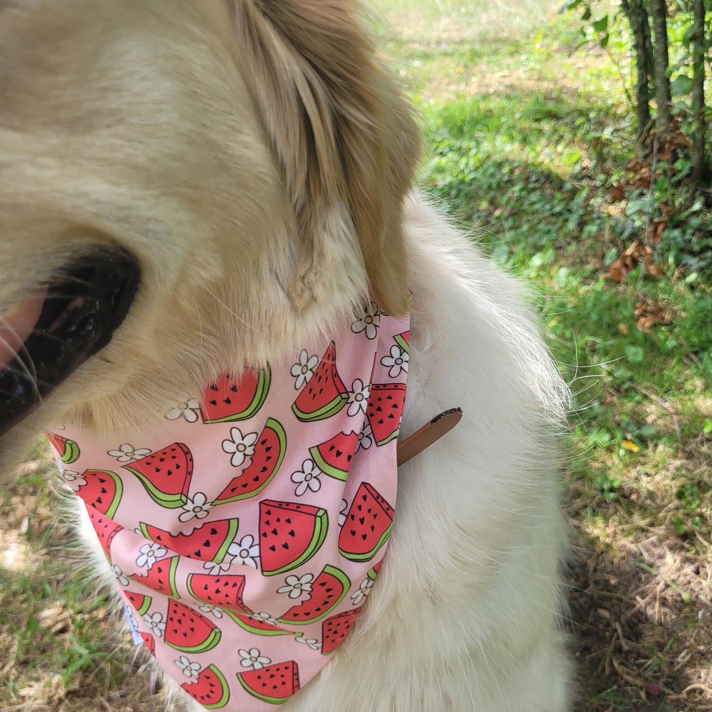Bandana élastique - motif pastèque