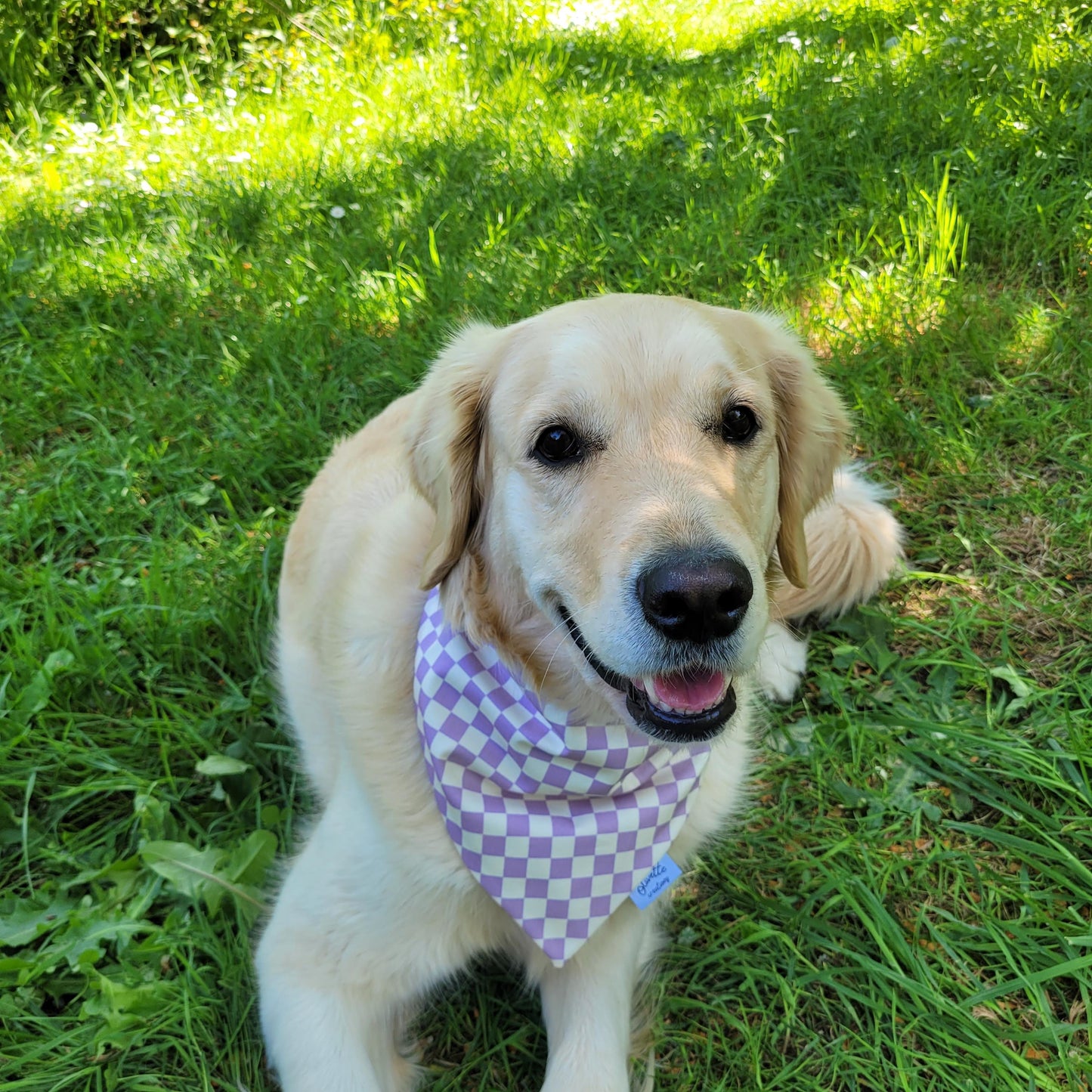 Bandana élastique - motif damier lilas