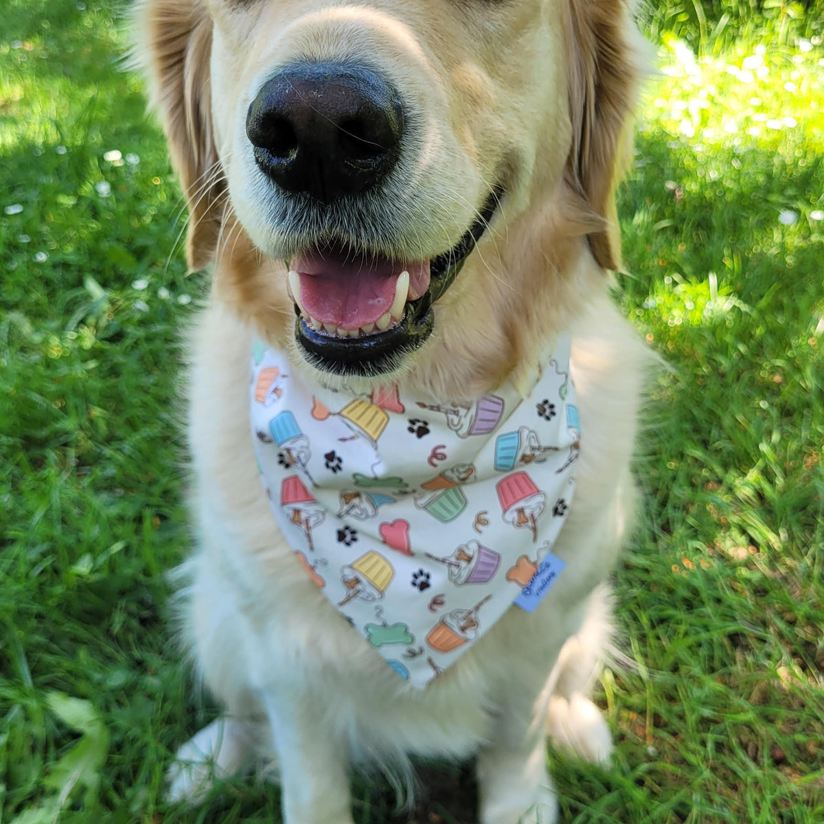 Bandana élastique HAPPY BIRTHDAY
