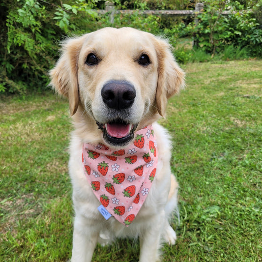 Bandana élastique - motif fraise