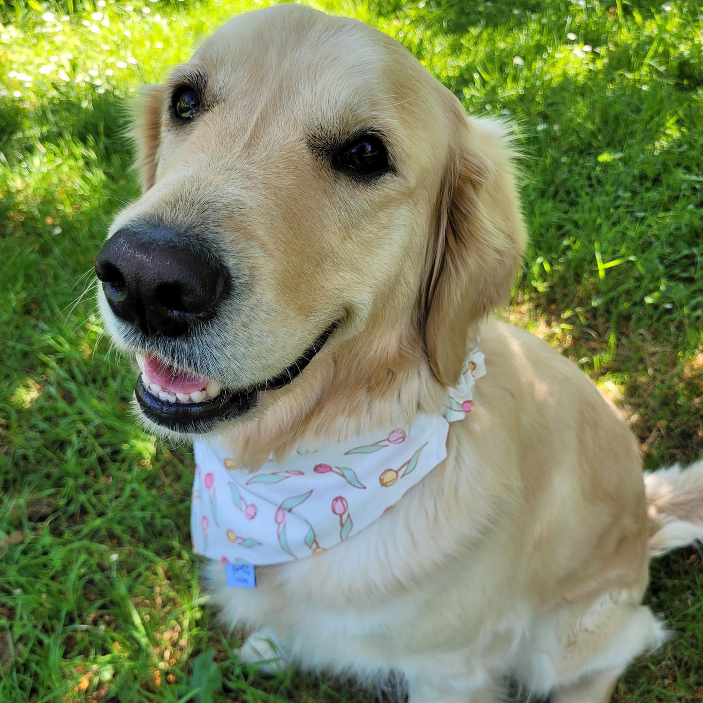 Bandana - motif tulipes