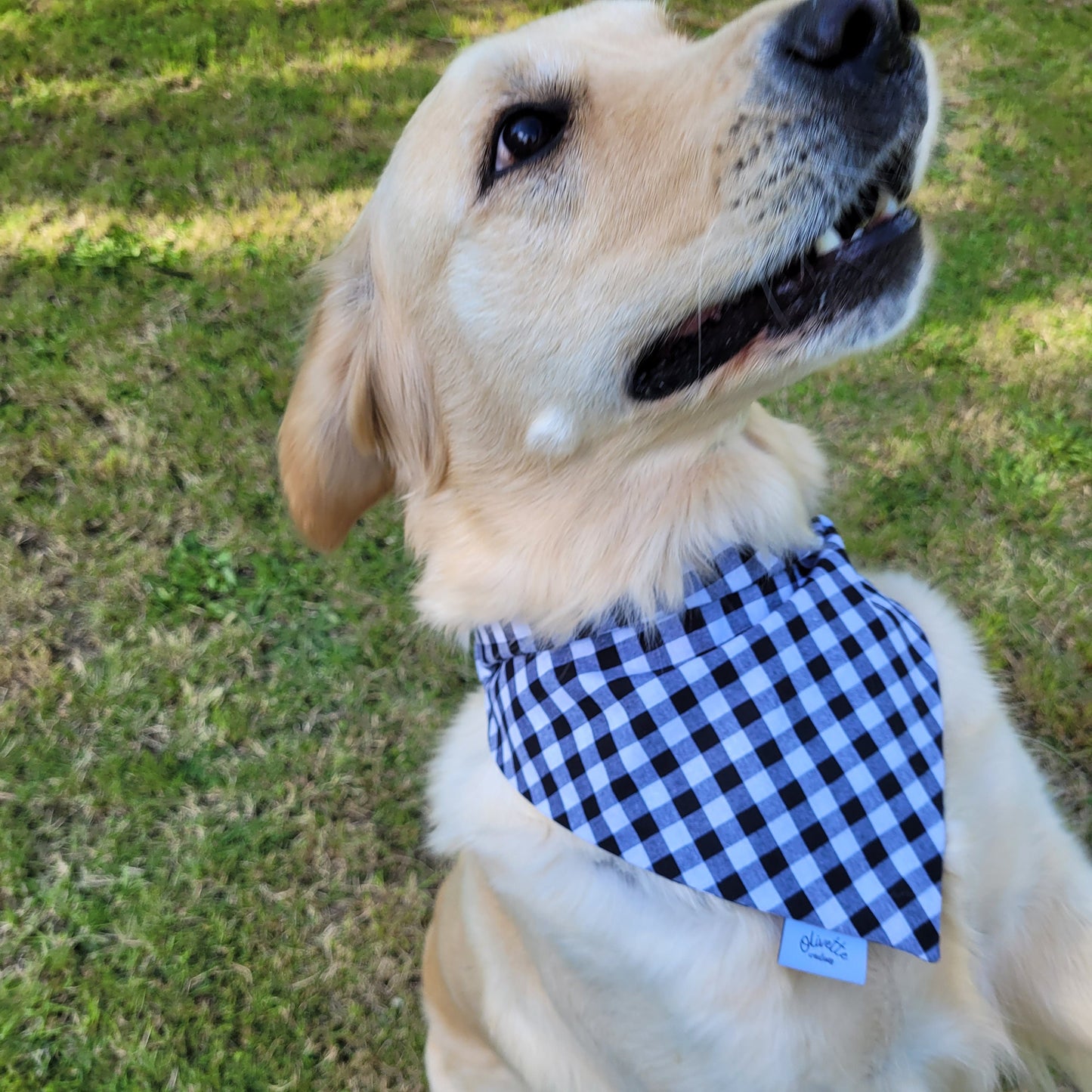 Bandana élastique - vichy noir