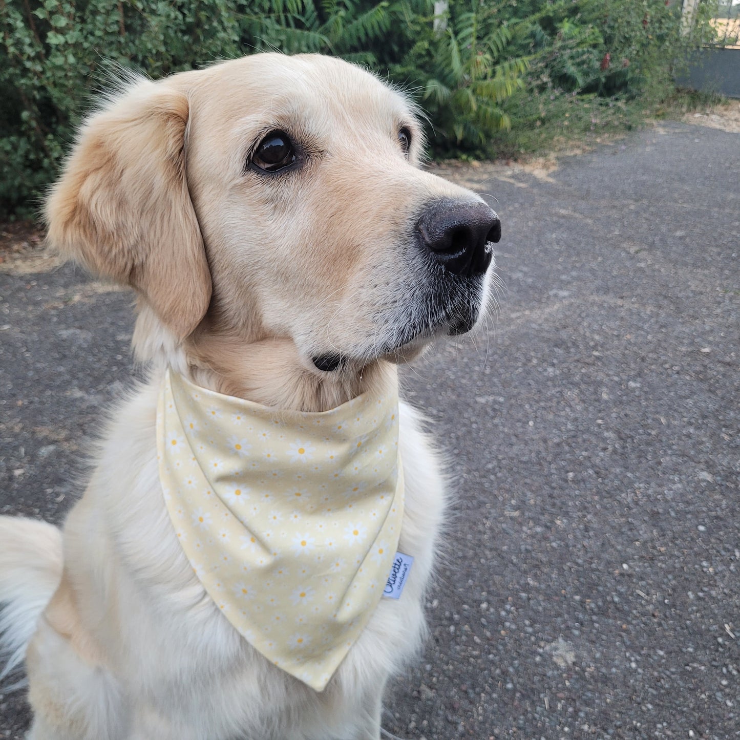 Bandana élastique - motif marguerite jaune