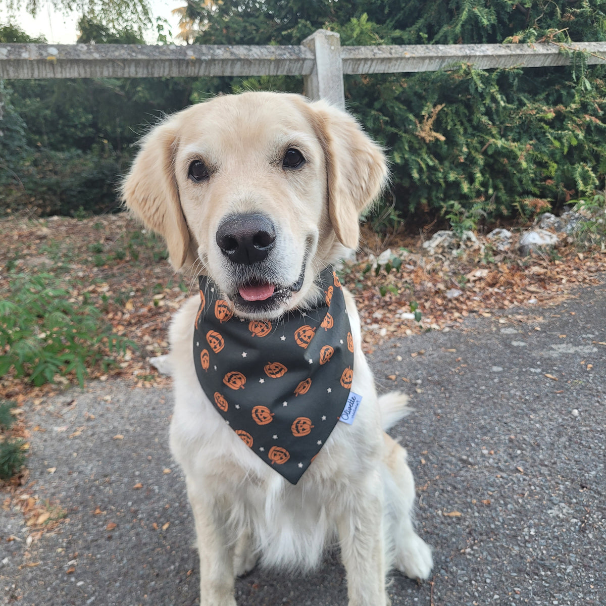 Bandana élastique - motif citrouille d'halloween
