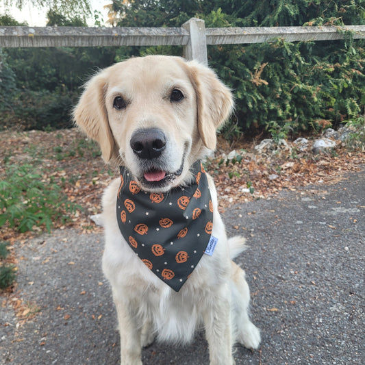 Bandana élastique - motif citrouille d'halloween