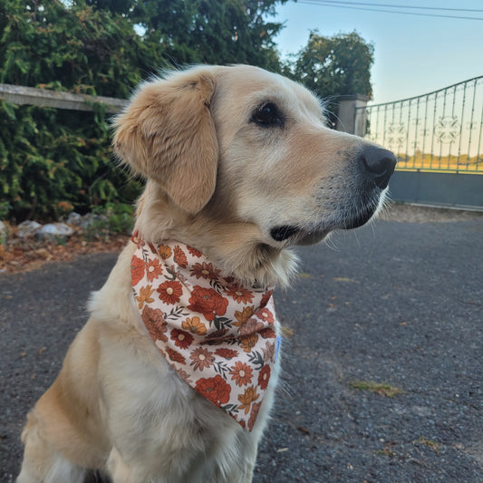 Bandana élastique - automne bohème